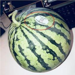 网红最新吃瓜,揭秘娱乐圈幕后真相 第2张 网红最新吃瓜,揭秘娱乐圈幕后真相 第2张