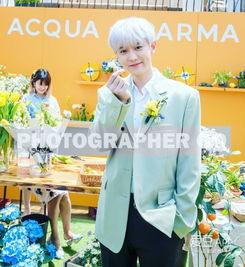 灿烈姐姐爆料了吗视频下载,揭秘娱乐圈幕后故事  第1张